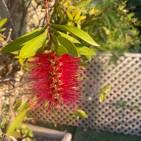 Altos De * فينيسترات