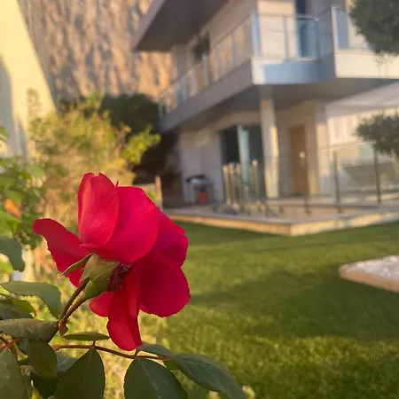 Altos De Villa Finestrat